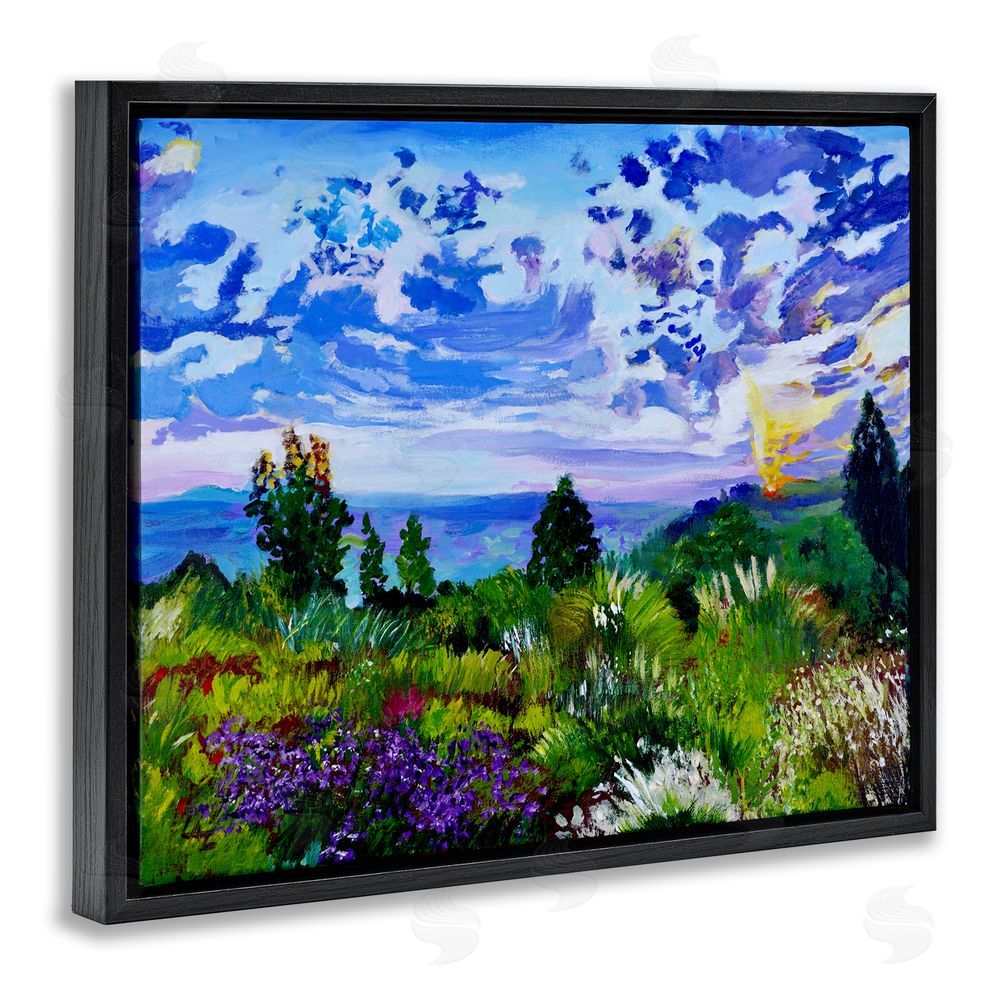 Lee Ann Zirbes Distinctive Nature Landscape Black Floating Frame Canvas Wall Art Print