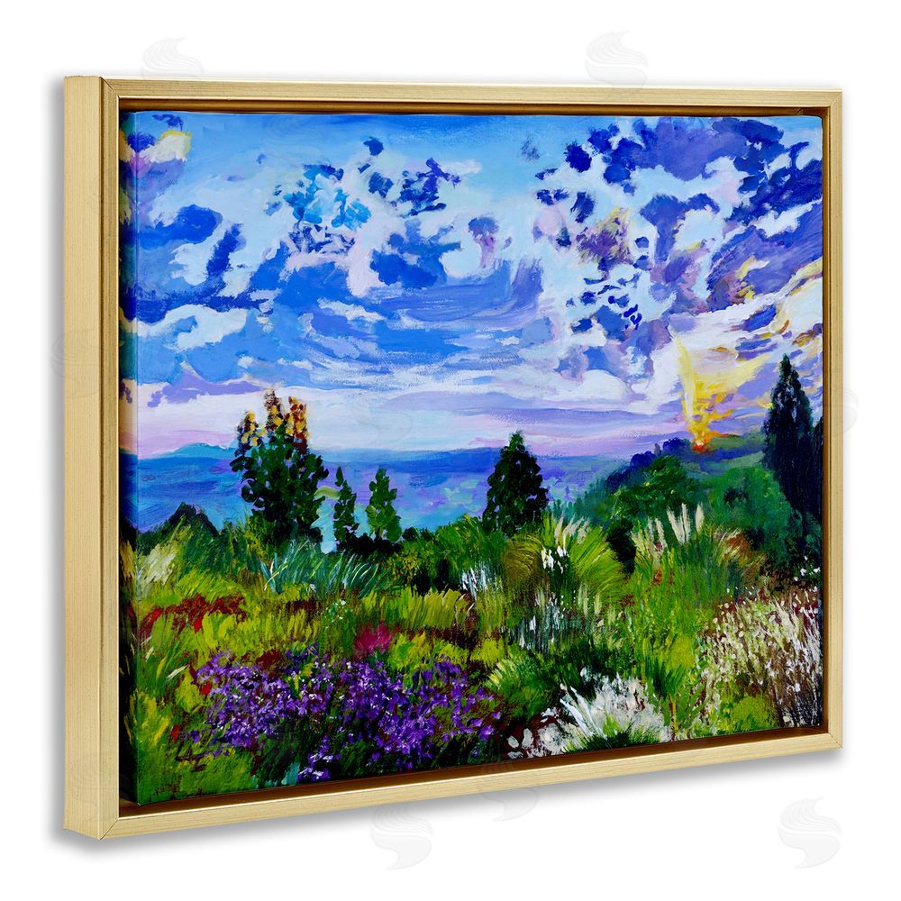Lee Ann Zirbes Distinctive Nature Landscape Gold Floating Frame Canvas Wall Art Print