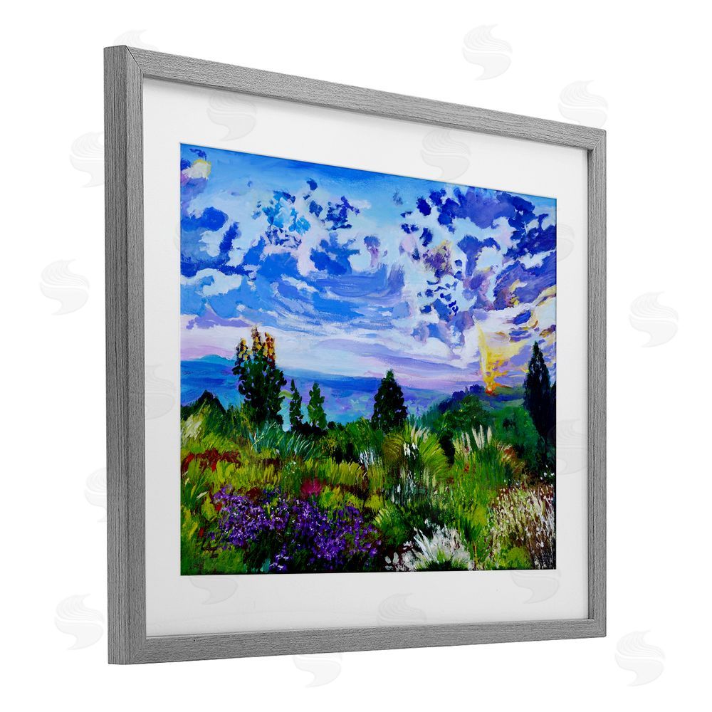 Lee Ann Zirbes Distinctive Nature Landscape Gray Framed Print Under Glass with White Mat Wall Art