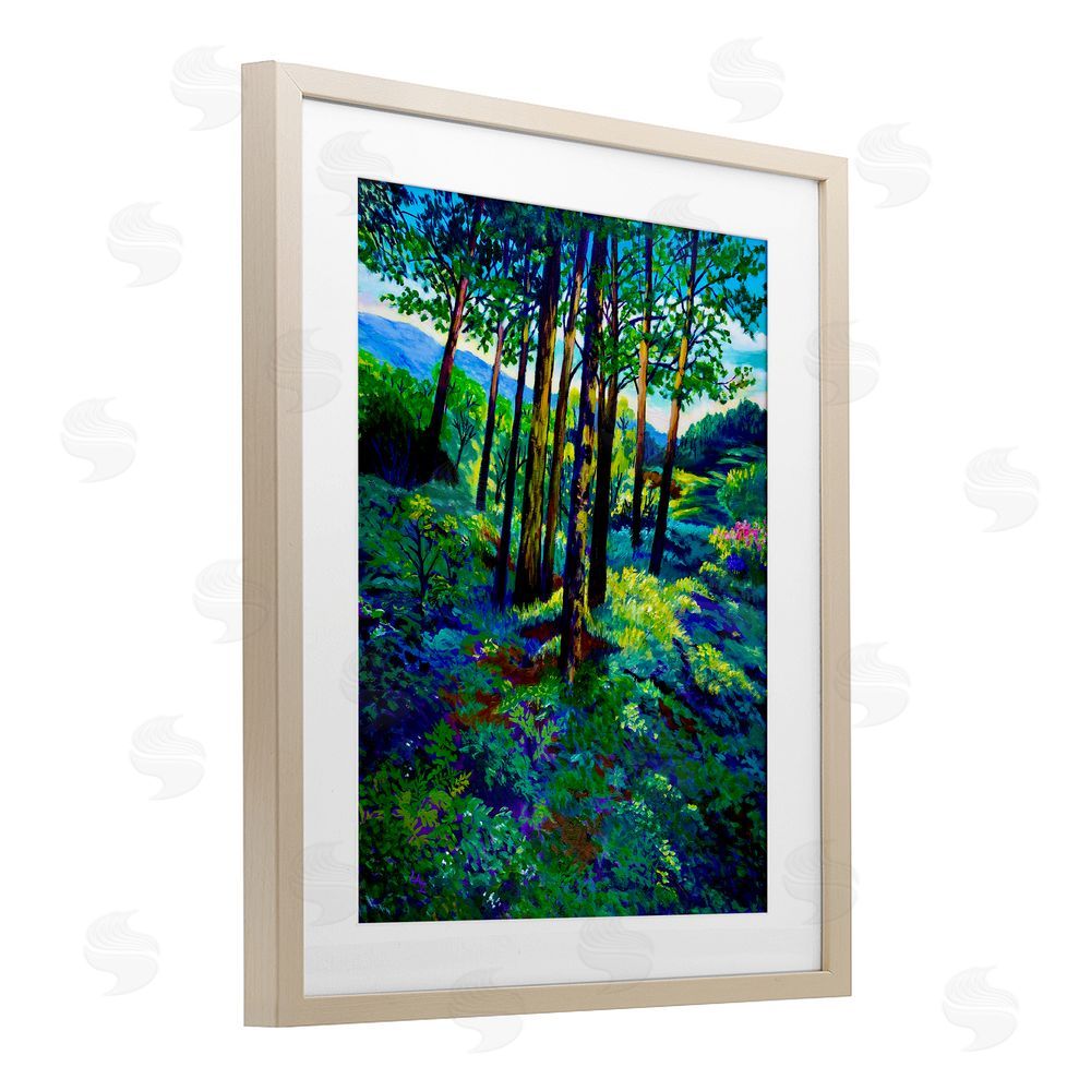 Lee Ann Zirbes Blue Ridge Mountain Breezes Birch Framed Print Under Glass with White Mat Wall Art