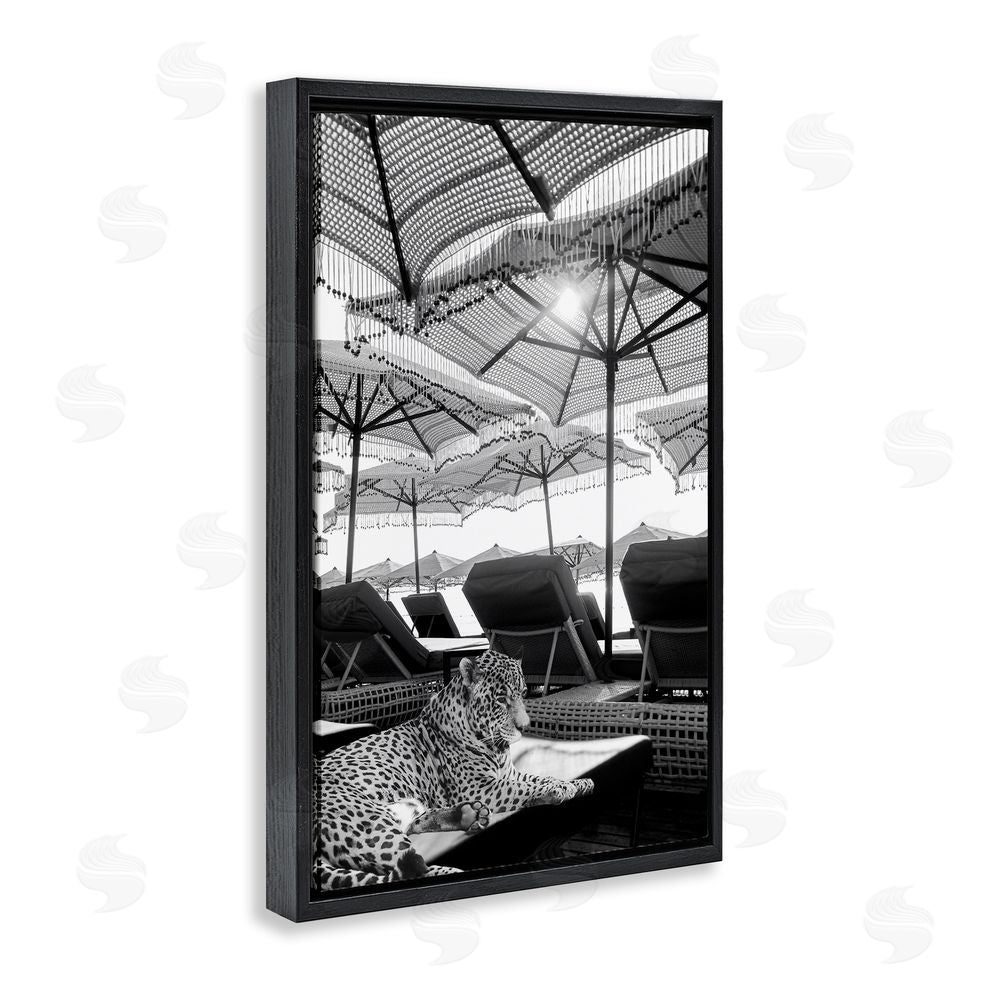 Grotto Studios Leopard On Tropical Vacation Black Floating Frame Canvas Wall Art Print