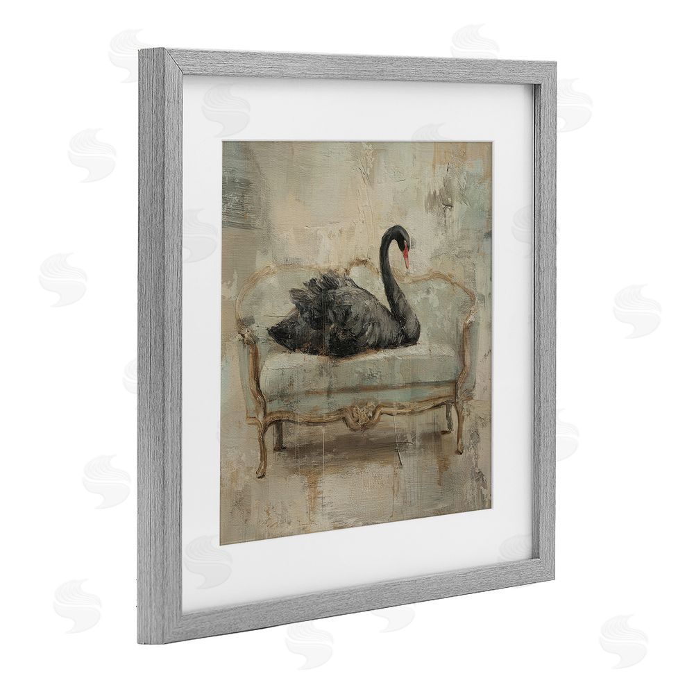 Svetlana Aleynikova Black Swan on Vintage Sofa Gray Framed Print Under Glass Wall Art
