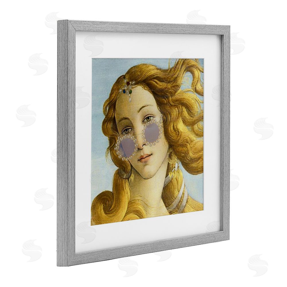 Grotto Studios Modern Day Venus Shades Gray Framed Print Under Glass Wall Art