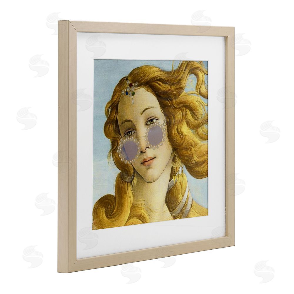 Grotto Studios Modern Day Venus Shades Birch Framed Print Under Glass Wall Art