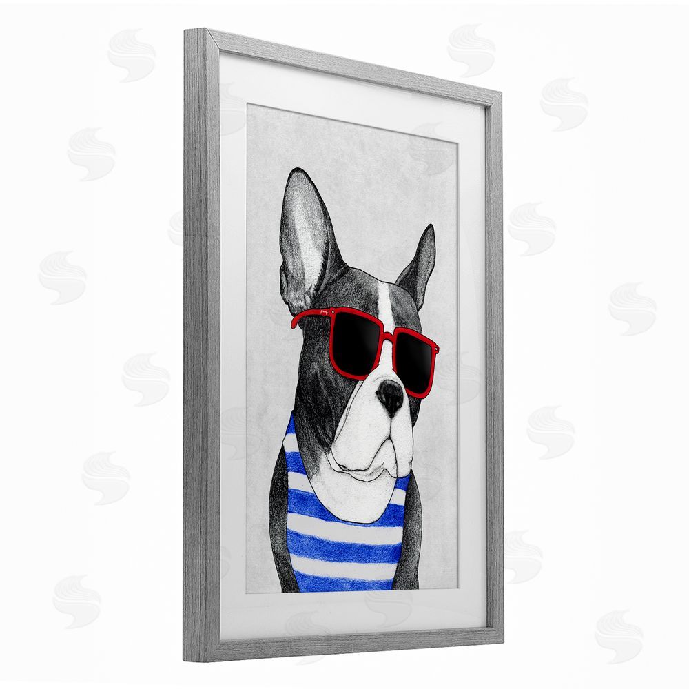 Barruff Frenchie Summer Style Gray Framed Print Under Glass Wall Art