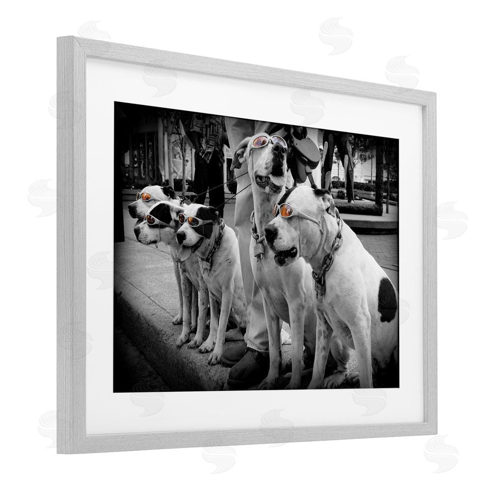 Scott Henderson Afternoon Stroll Pups Gray Framed Print Under Glass Wall Art
