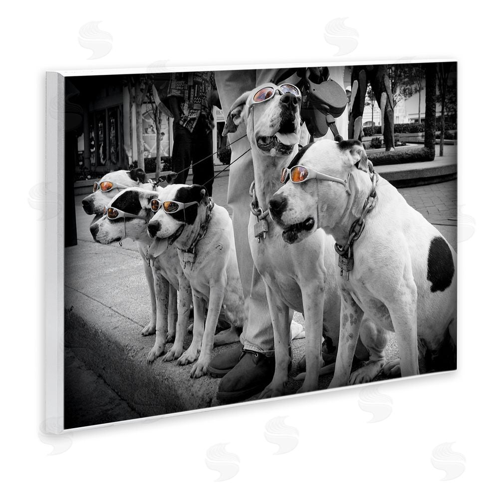 Scott Henderson Afternoon Stroll Pups Wooden Wall Plaque Art Print