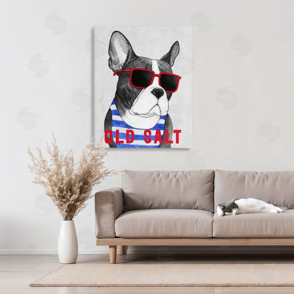 Barruff Old Salt Summer Frenchie
