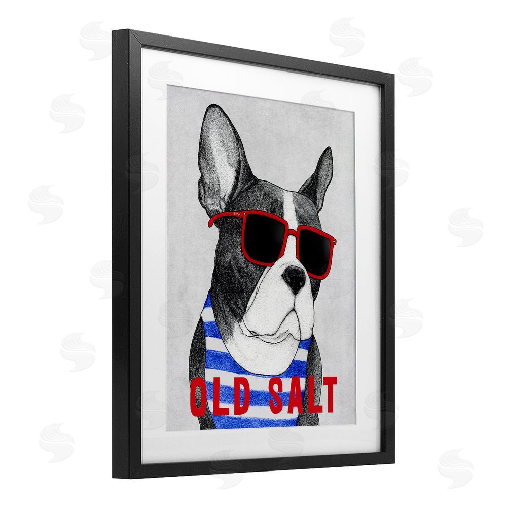 Barruff Old Salt Summer Frenchie Black Framed Print Under Glass Wall Art