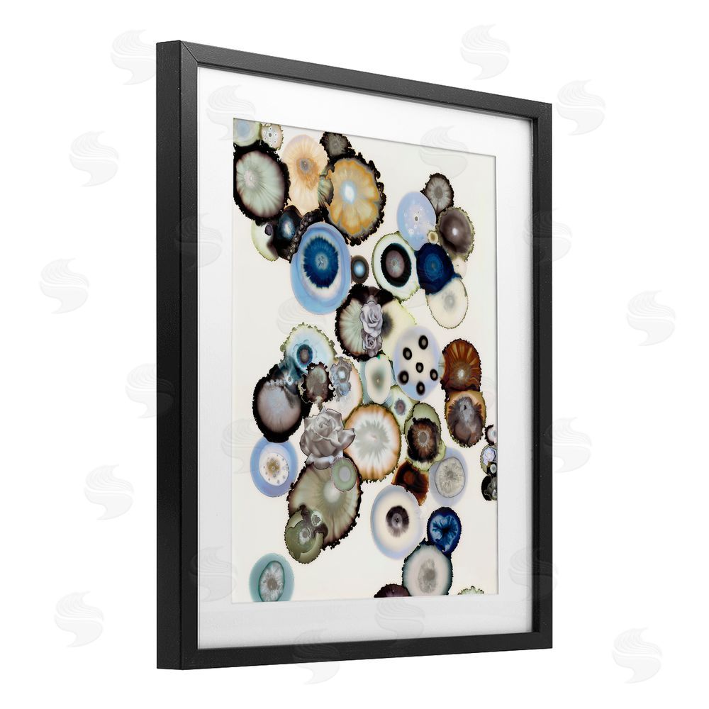 Laura Van Horne Clustered Geodes and Roses Black Framed Print Under Glass Wall Art