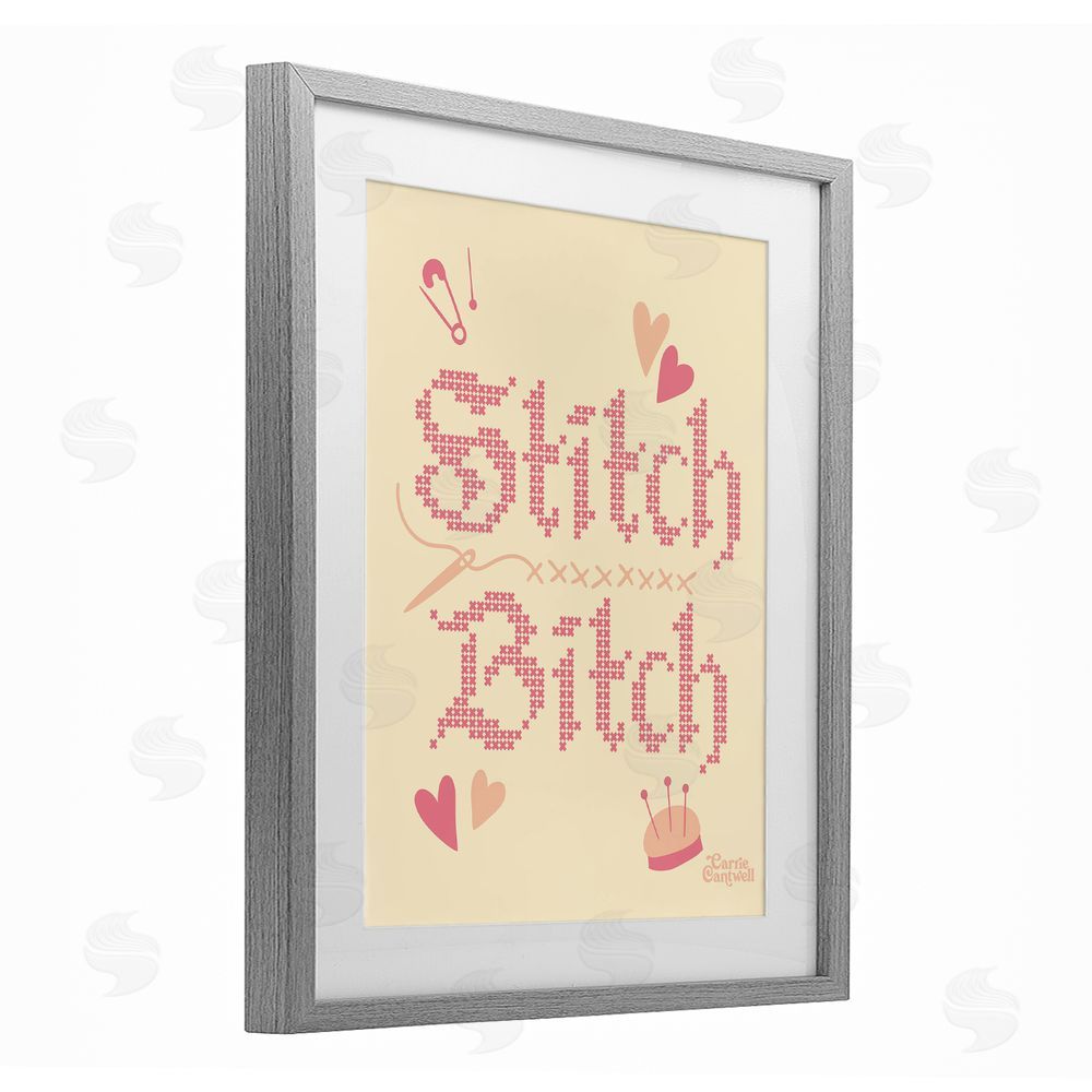 Carrie Cantwell Stitch B*tch Embroidery Craft Gray Framed Print Under Glass Wall Art