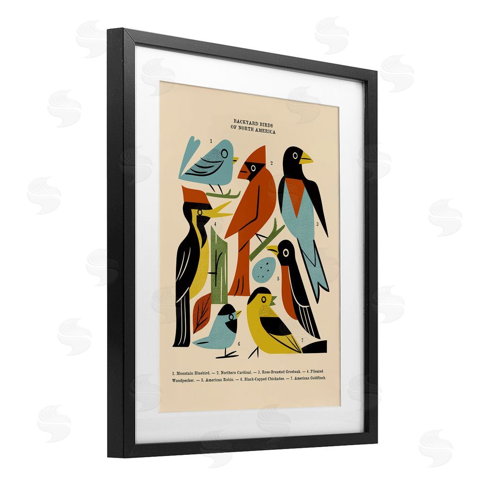 Renea L. Thull Backyard Birds Midcentury Modern Black Framed Print Under Glass Wall Art