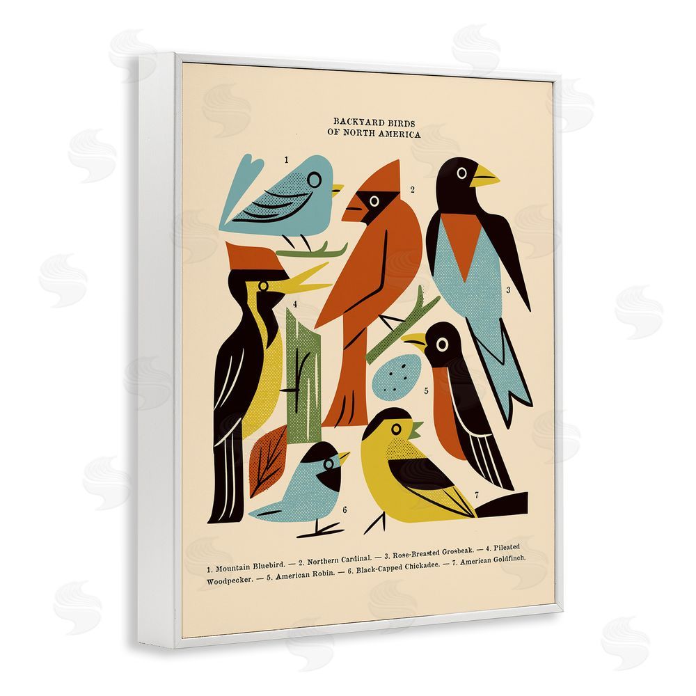 Renea L. Thull Backyard Birds Midcentury Modern White Framed Giclee Print Wall Art