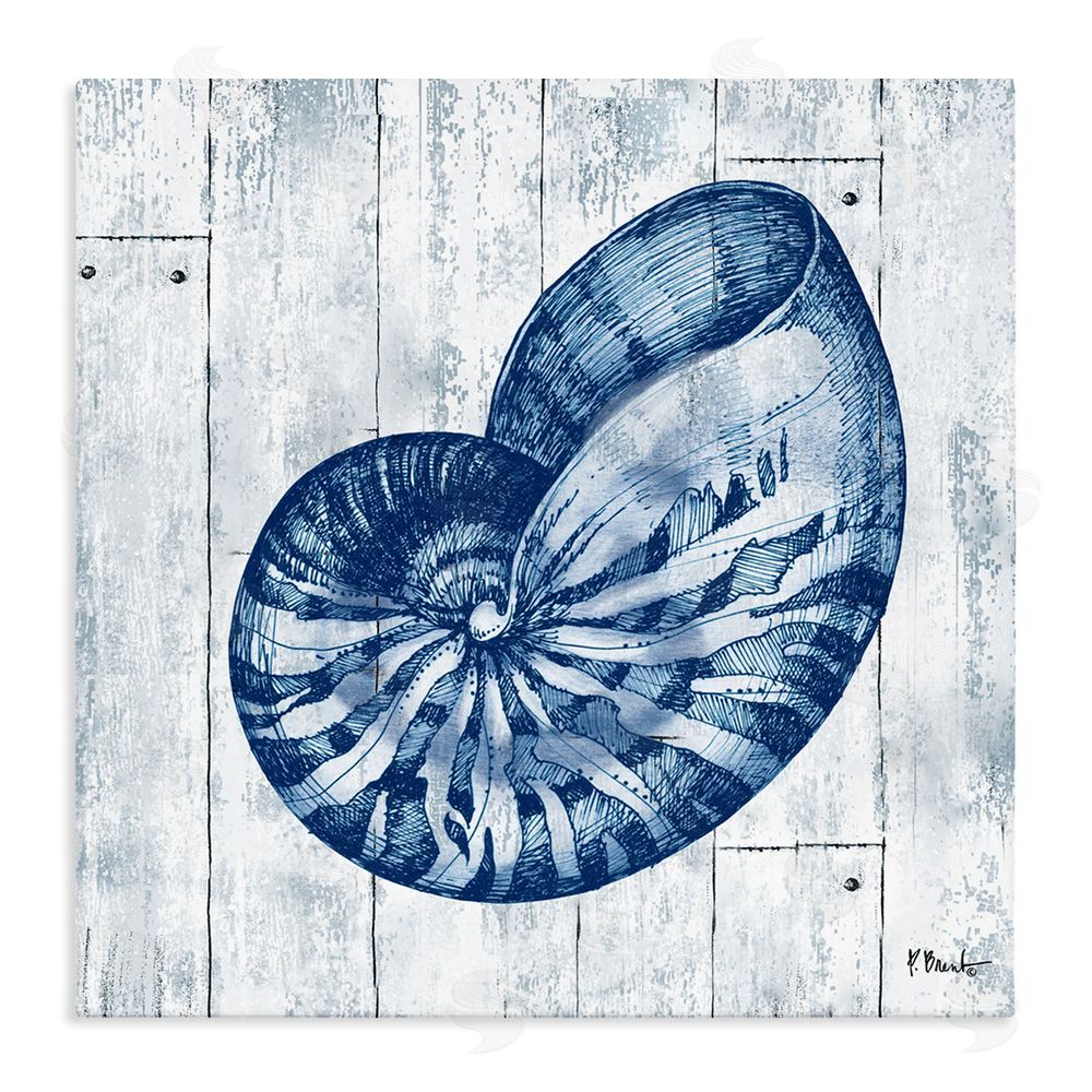 Paul Brent Coastal Timberland Nautilus Stretched Canvas Wall Art