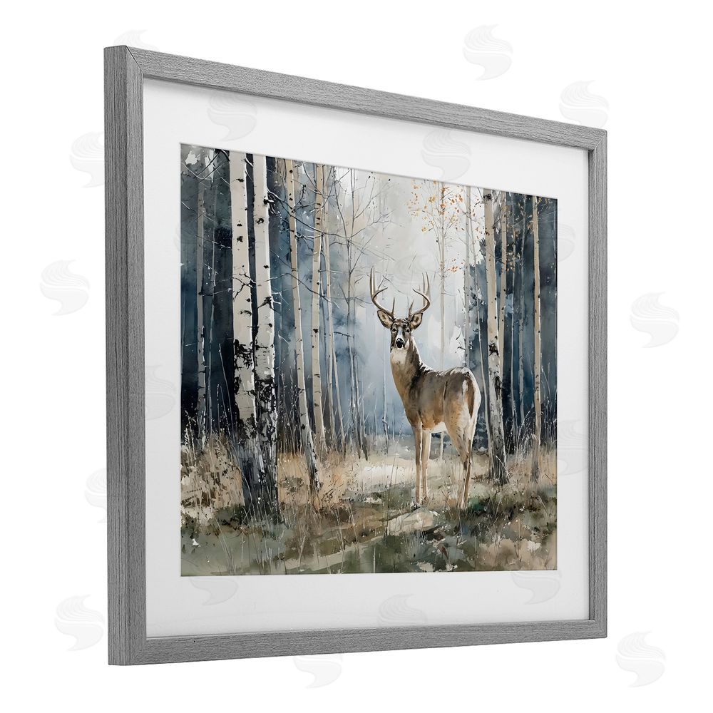 Franklyn Gregory Lone Stag in Birch Forest Gray Framed Print Under Glass Wall Art