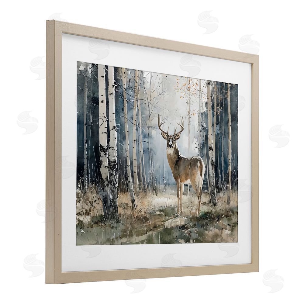 Franklyn Gregory Lone Stag in Birch Forest Brown Framed Print Under Glass Wall Art