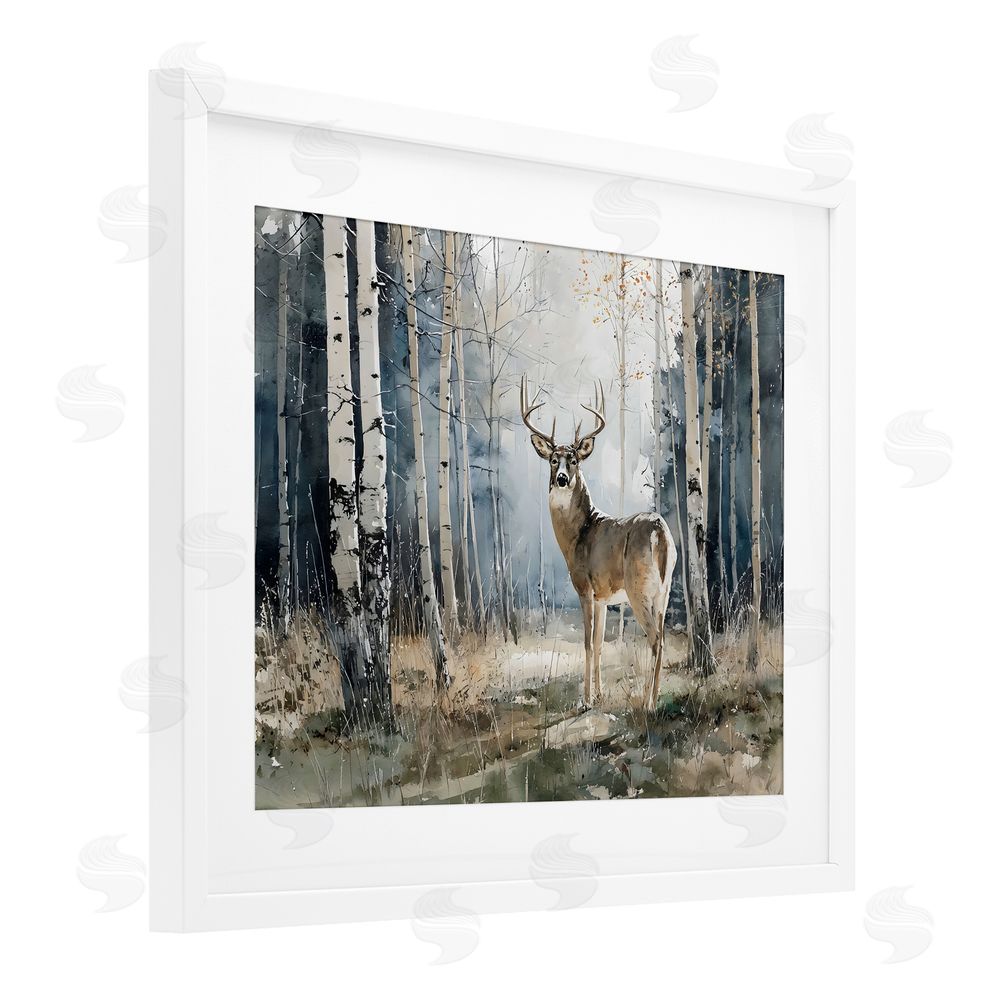 Franklyn Gregory Lone Stag in Birch Forest White Framed Print Under Glass Wall Art
