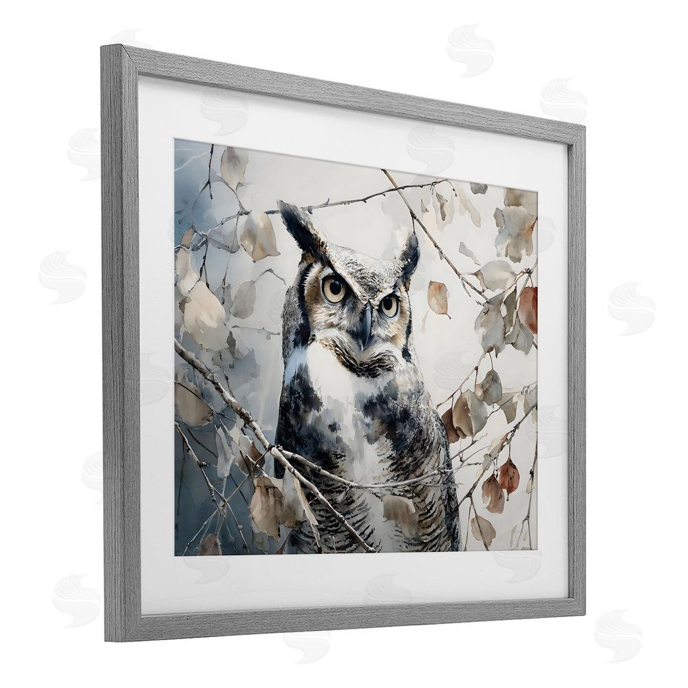 Franklyn Gregory Horned Owl Perched Gray Framed Print Under Glass Wall Art