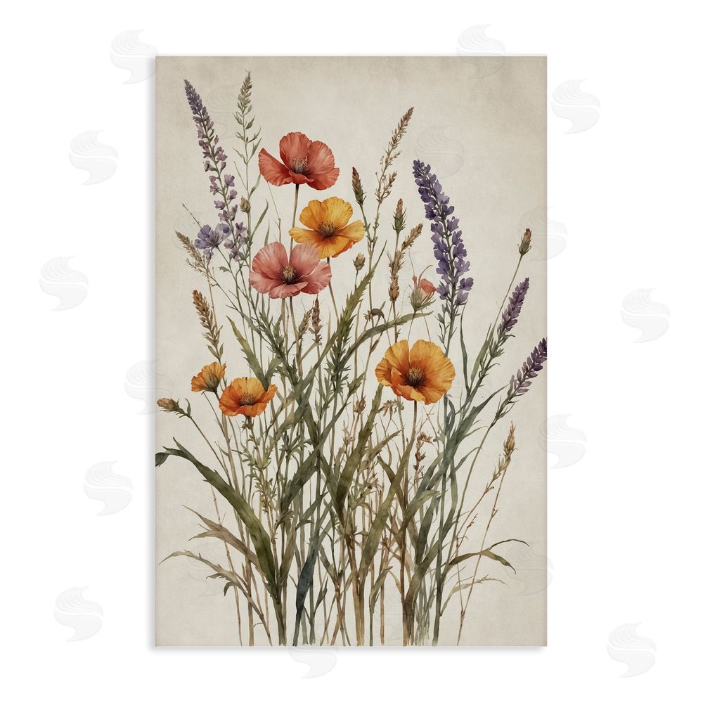 Nataly White Vintage Collection of Meadow Botanicals Stretched Canvas Wall Art Print