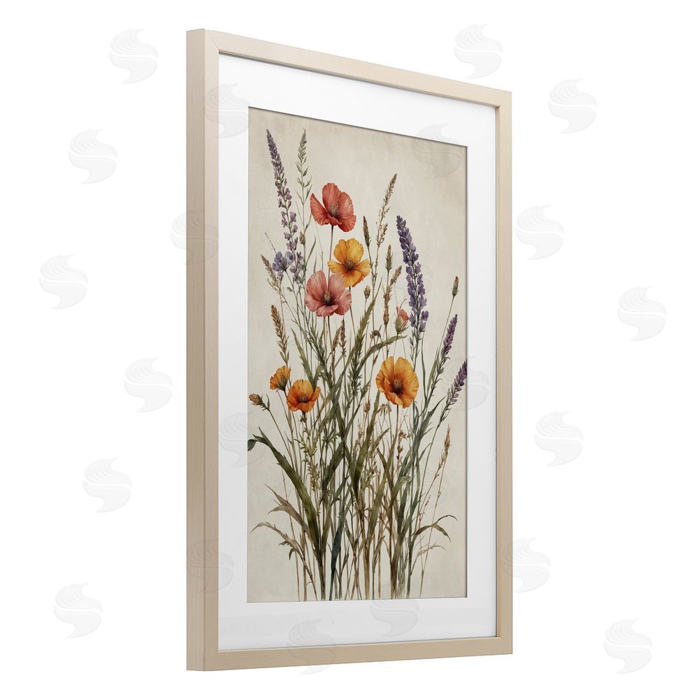 Nataly White Vintage Collection of Meadow Botanicals Brown Framed Print Under Glass with White Mat Wall Art