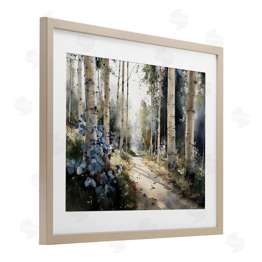 Franklyn Gregory Blue Birch Sunlit Forest Brown Framed Print Under Glass with Matting Wall Art
