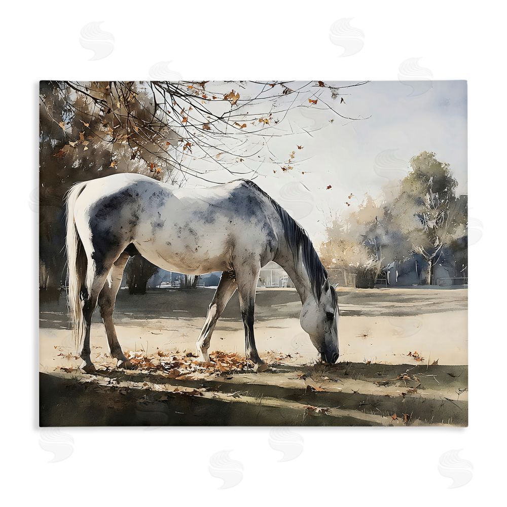 Franklyn Gregory Grey & White Mare Grazing Stretched Canvas Wall Art