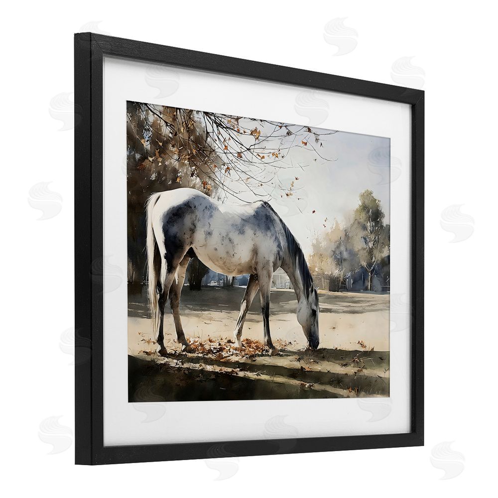 Franklyn Gregory Grey & White Mare Grazing Black Framed Print Under Glass Wall Art