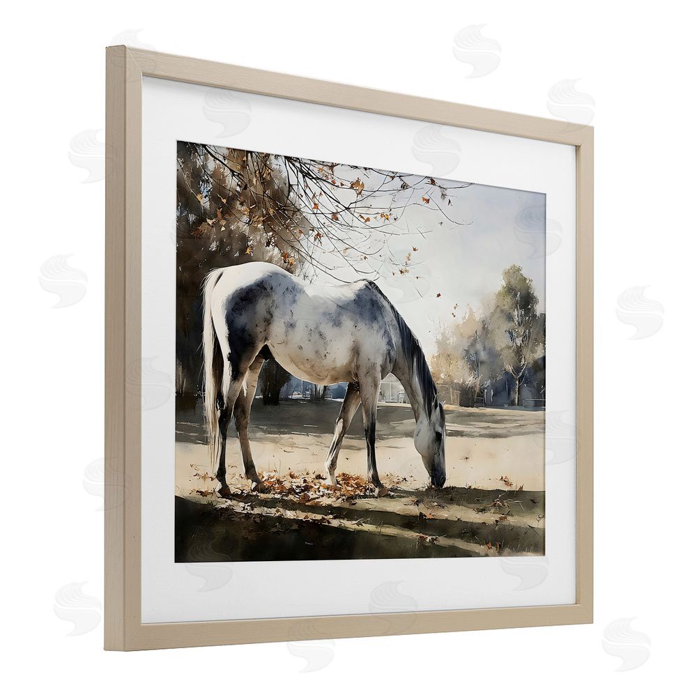 Franklyn Gregory Grey & White Mare Grazing Brown Framed Print Under Glass Wall Art