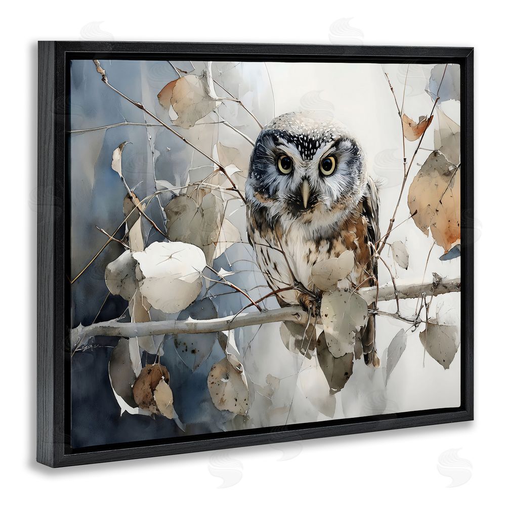Franklyn Gregory Hoot Owl on Autumn Branch Black Floating Framed Canvas Wall Art
