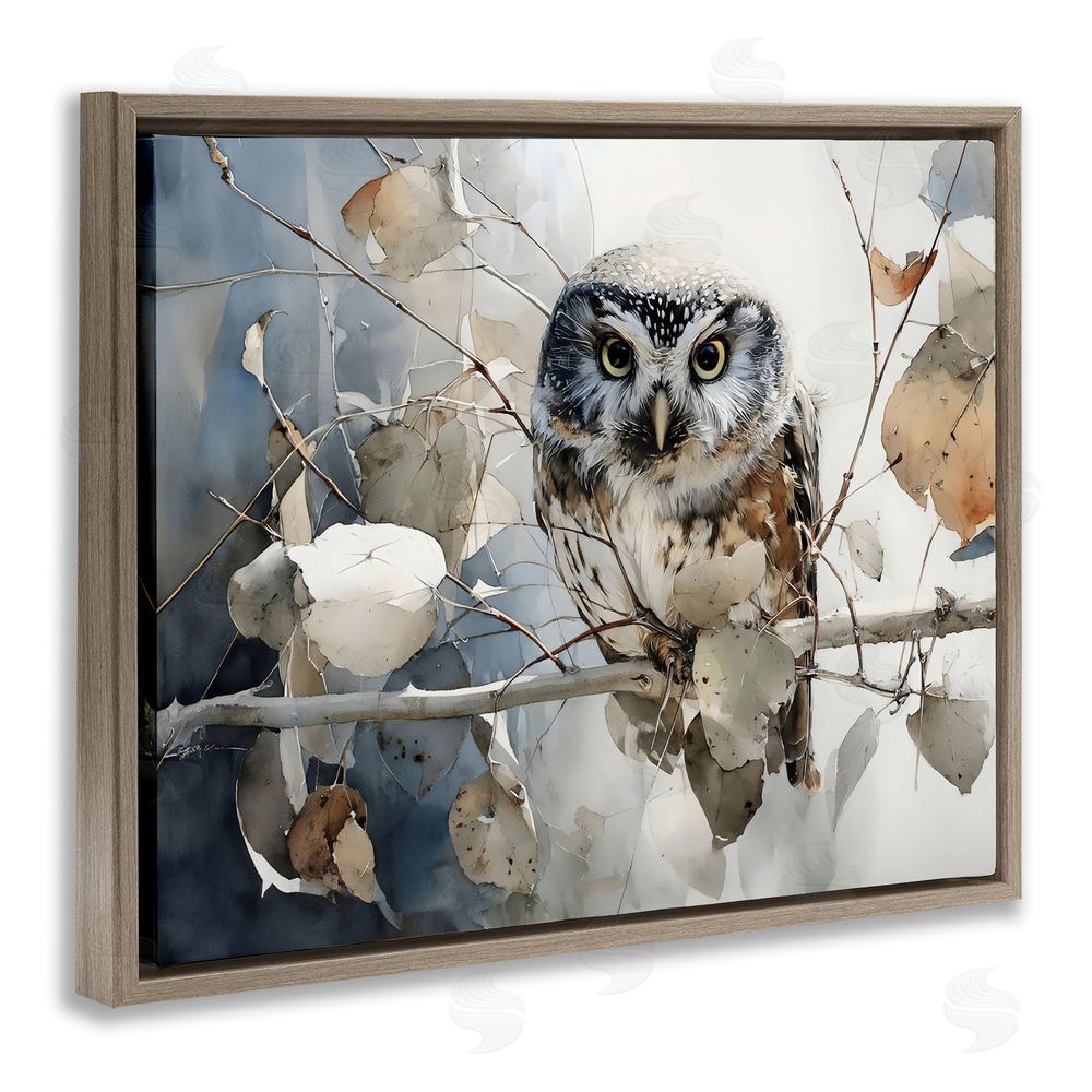 Franklyn Gregory Hoot Owl on Autumn Branch Brown Floating Framed Canvas Wall Art