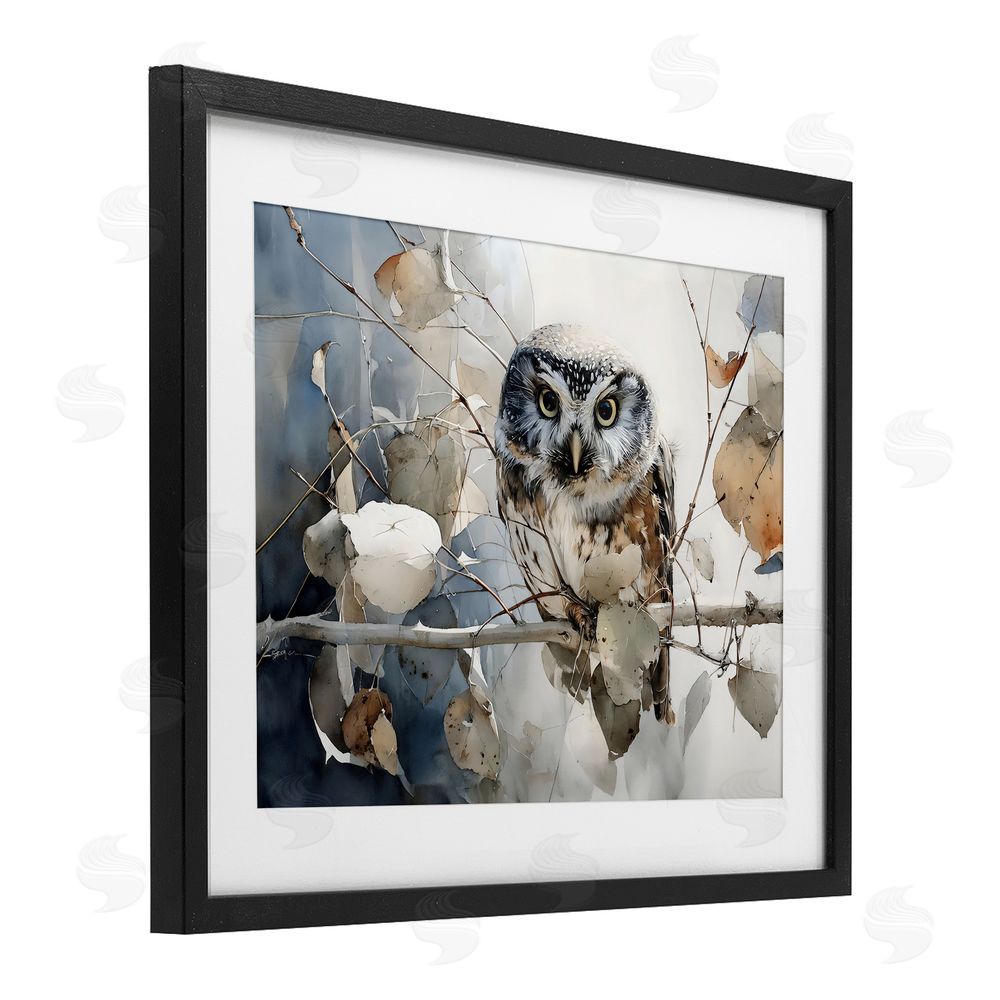 Franklyn Gregory Hoot Owl on Autumn Branch Black Framed Print Under Glass Wall Art