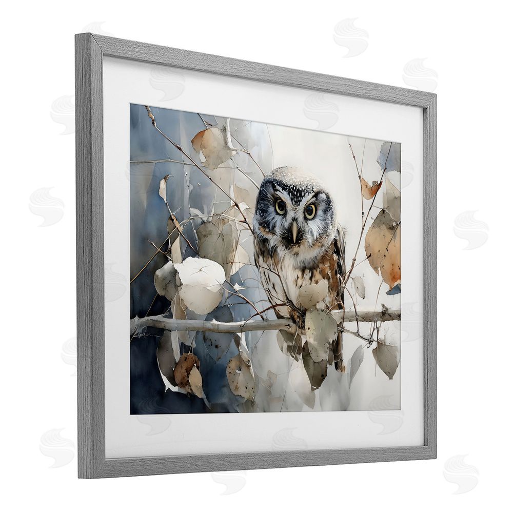 Franklyn Gregory Hoot Owl on Autumn Branch Gray Framed Print Under Glass Wall Art