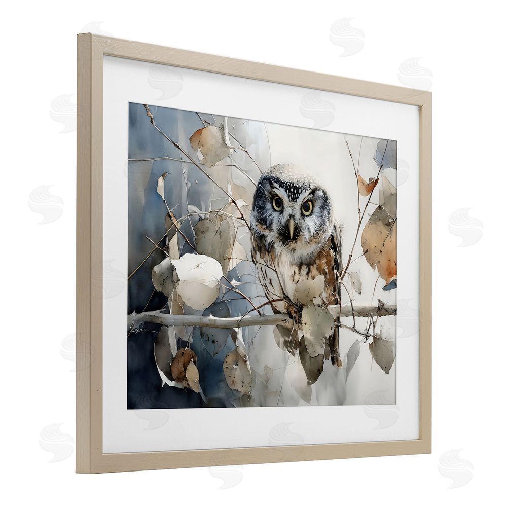 Franklyn Gregory Hoot Owl on Autumn Branch Brown Framed Print Under Glass Wall Art