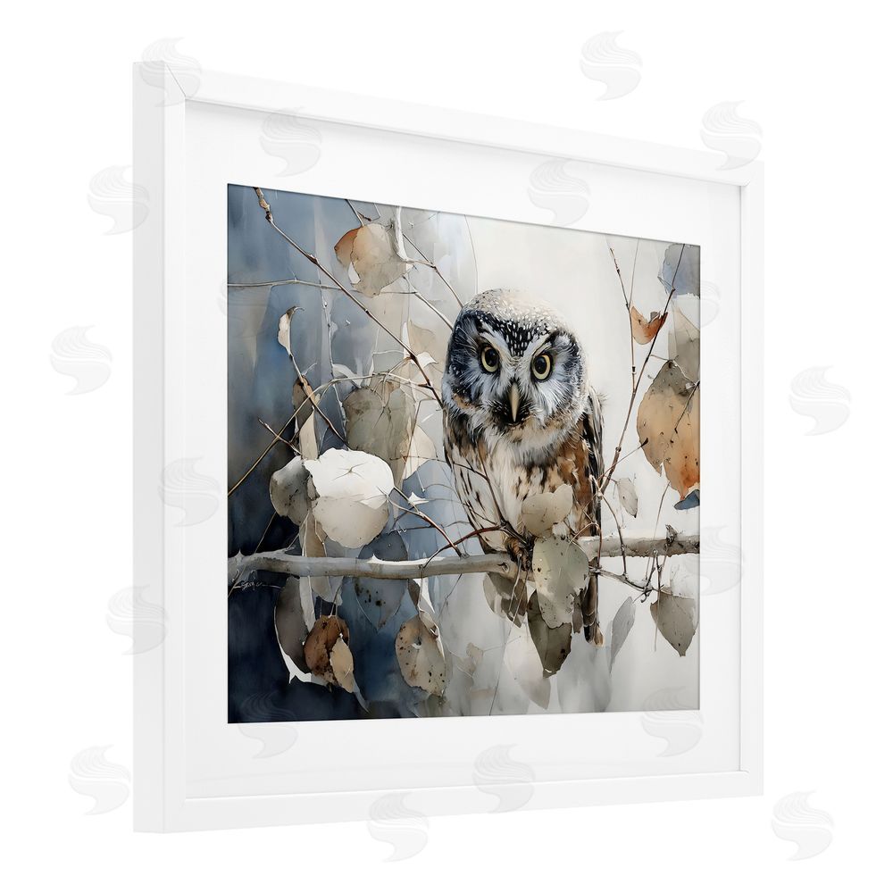 Franklyn Gregory Hoot Owl on Autumn Branch White Framed Print Under Glass Wall Art