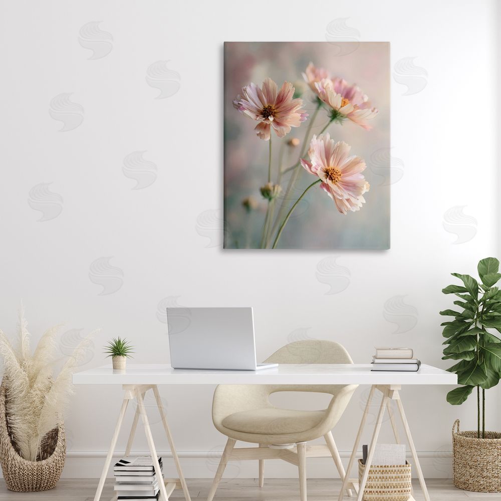 Franklyn Gregory Pink Daisies Close Up Stretched Canvas Wall Art in Room