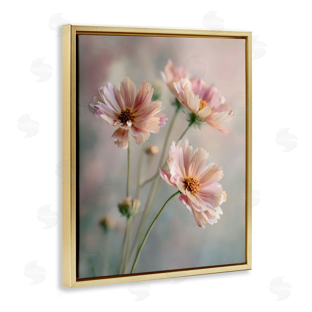 Franklyn Gregory Pink Daisies Close Up Gold Floating Framed Canvas Wall Art