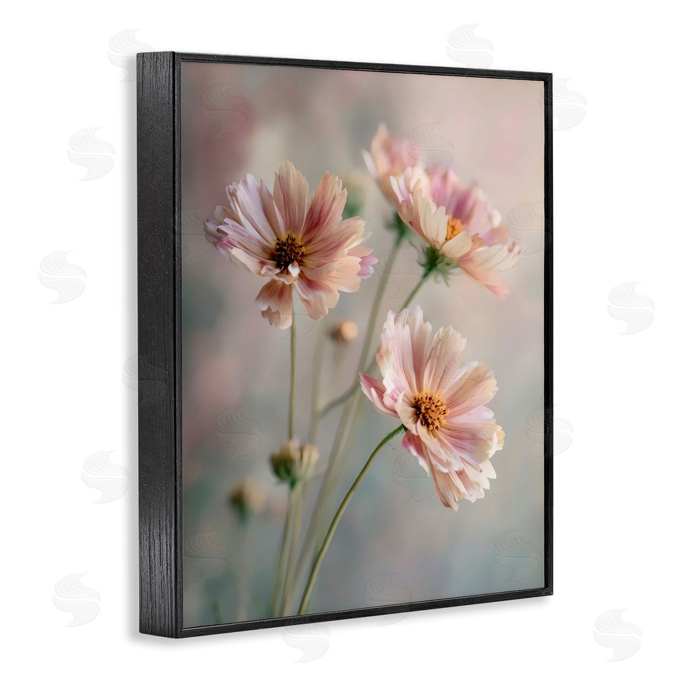 Franklyn Gregory Pink Daisies Close Up Black Framed Giclee Wall Art
