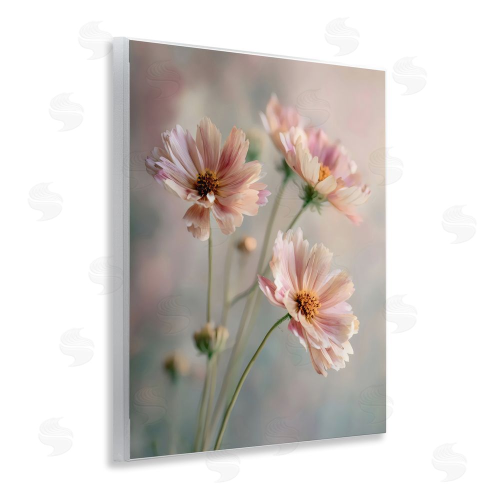 Franklyn Gregory Pink Daisies Close Up Wall Plaque Home Decor Art Print