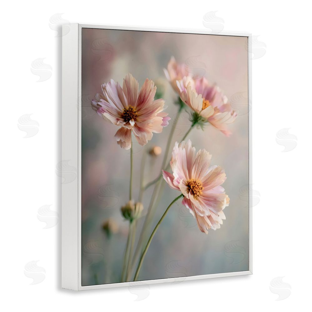 Franklyn Gregory Pink Daisies Close Up White Framed Giclee Wall Art