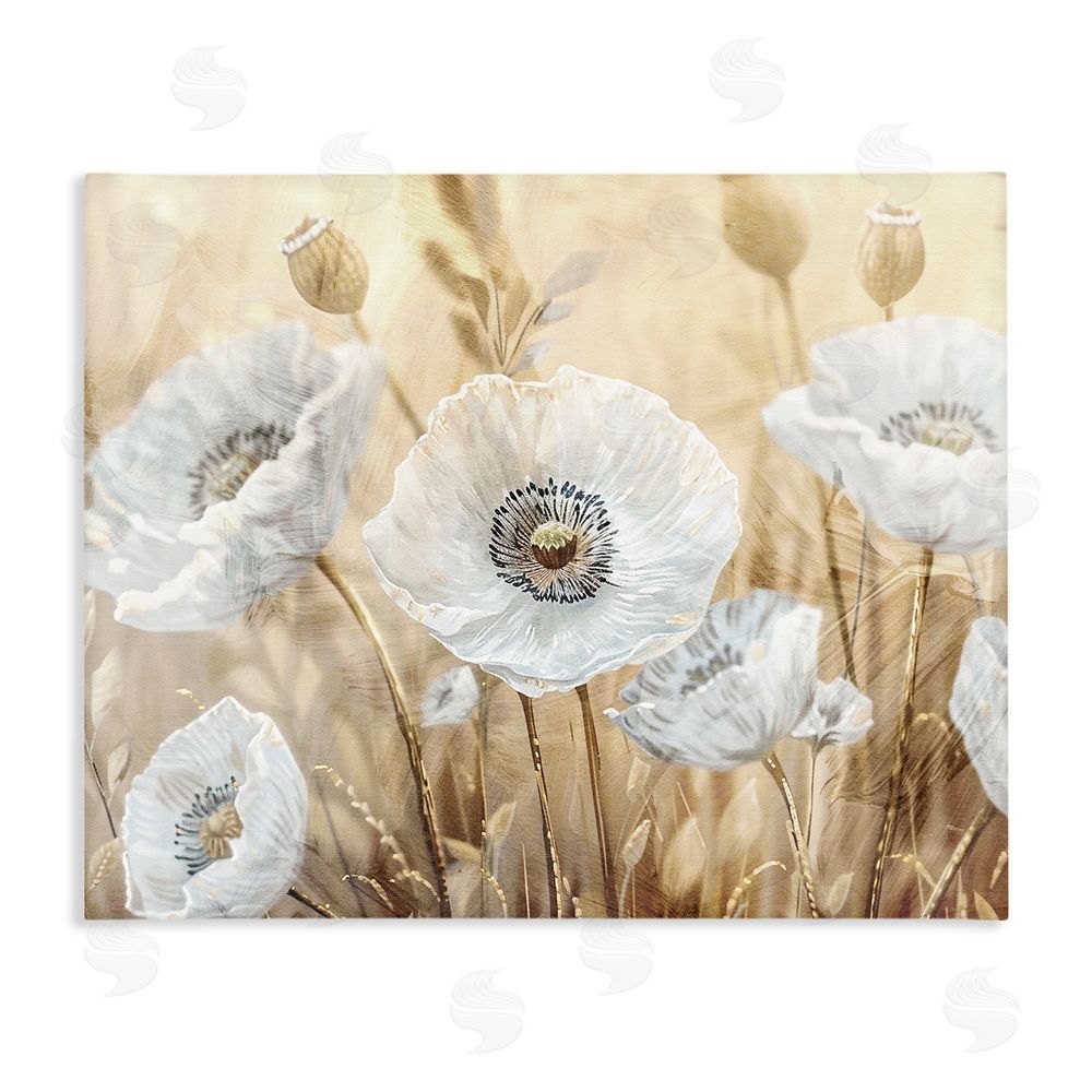 Kim Allen White Poppies Beige Field Stretched Canvas Wall Art Print