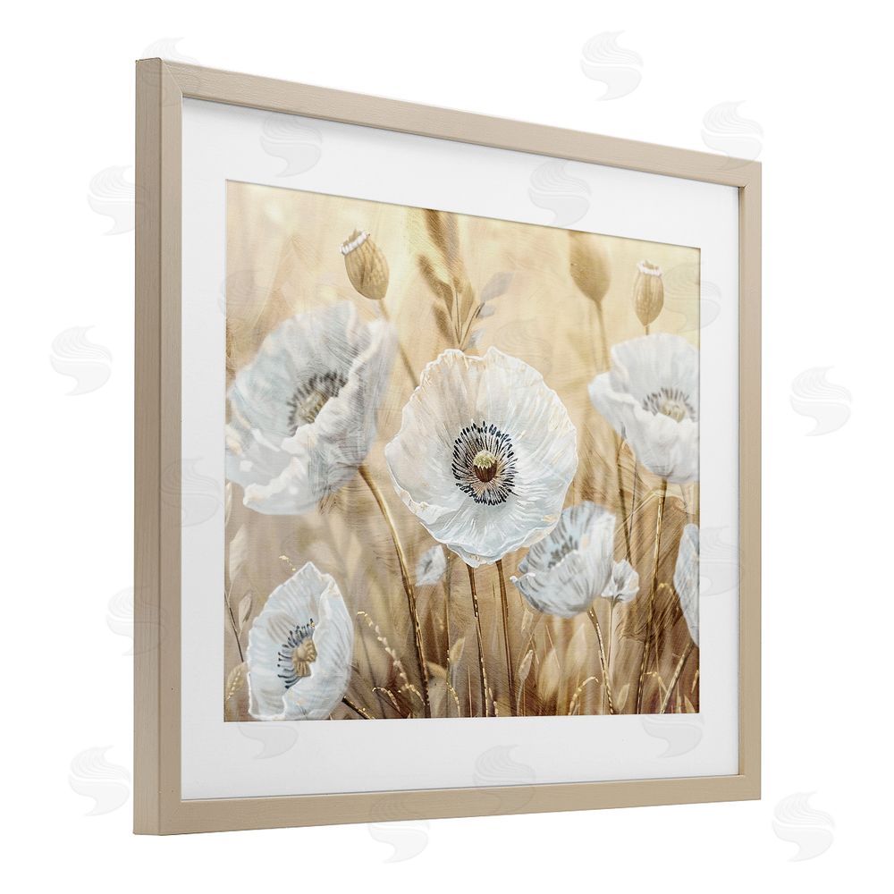 Kim Allen White Poppies Beige Field Brown Framed Print Under Glass Wall Art
