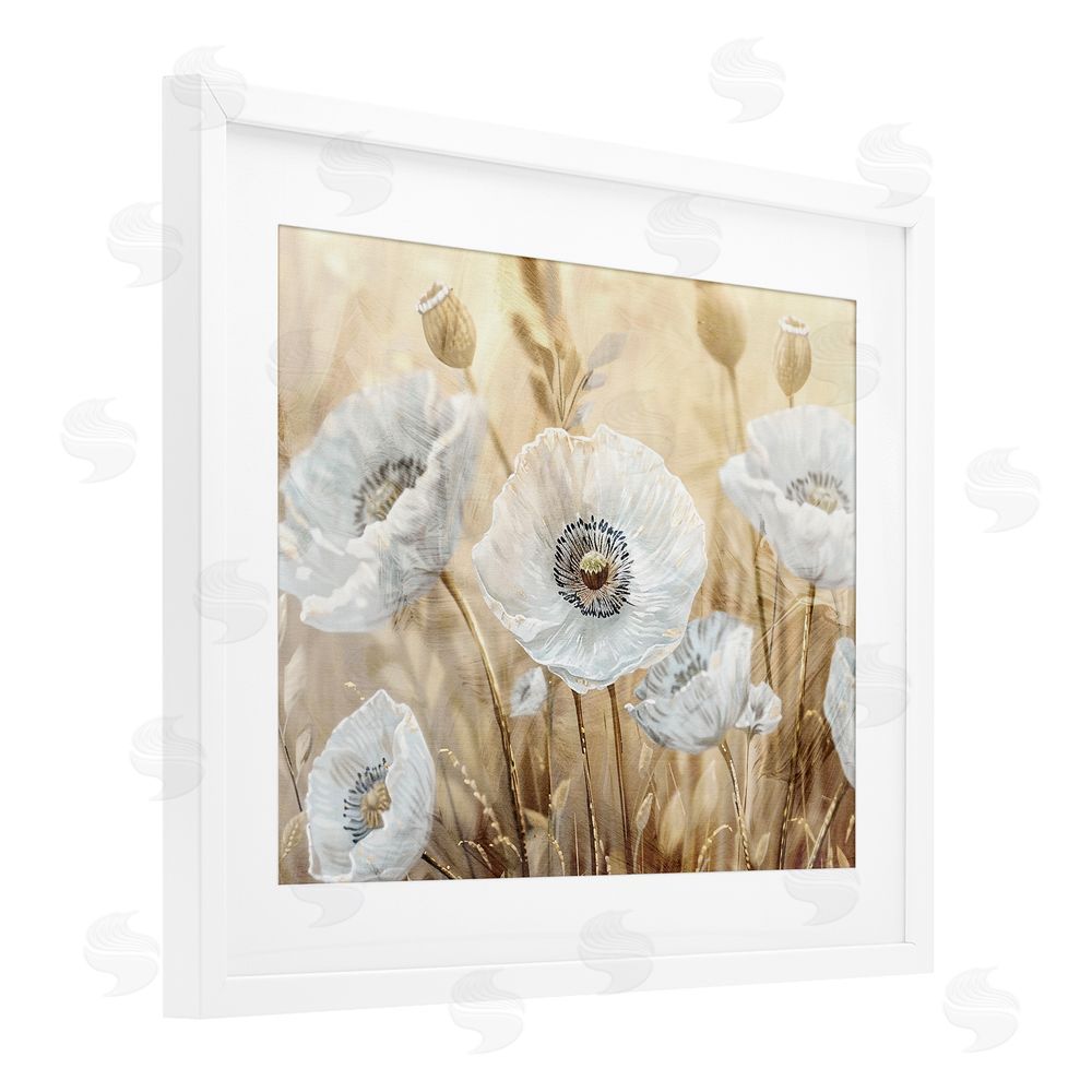 Kim Allen White Poppies Beige Field White Framed Print Under Glass Wall Art