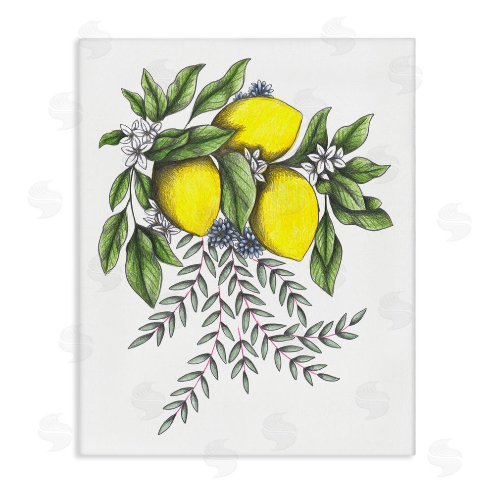 Cecilia Battaini Lemons & Flowers Vintage Sketch Stretched Canvas Wall Art Print