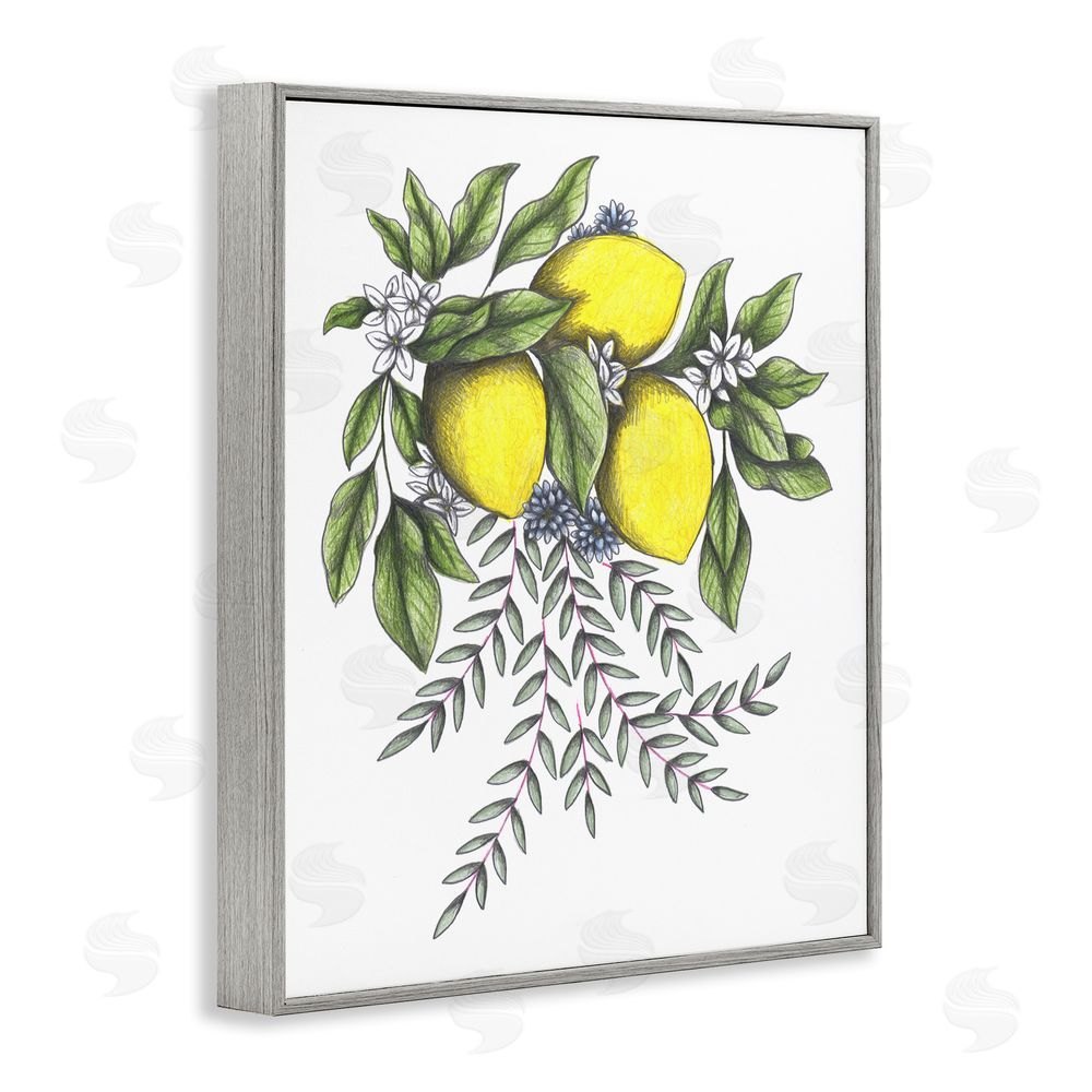 Cecilia Battaini Lemons & Flowers Vintage Sketch Gray Framed Giclee Print Wall Art