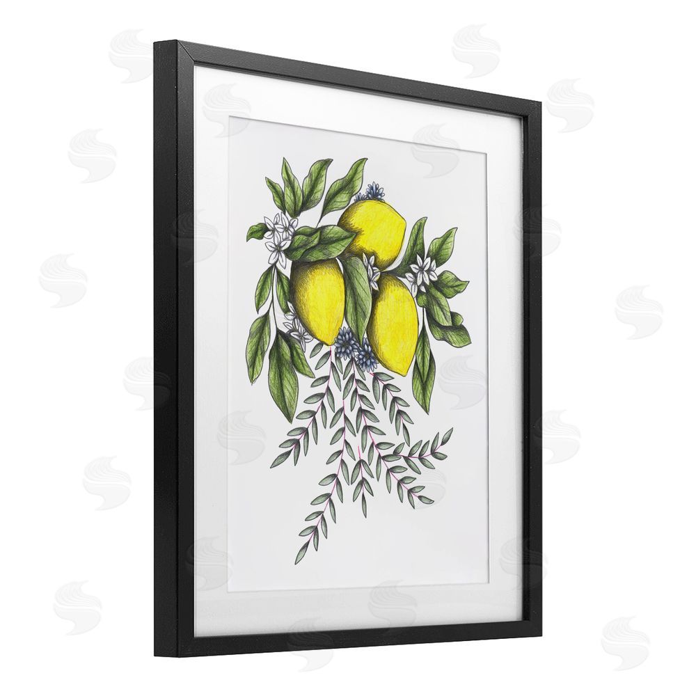 Cecilia Battaini Lemons & Flowers Vintage Sketch Black Framed Print Under Glass Wall Art