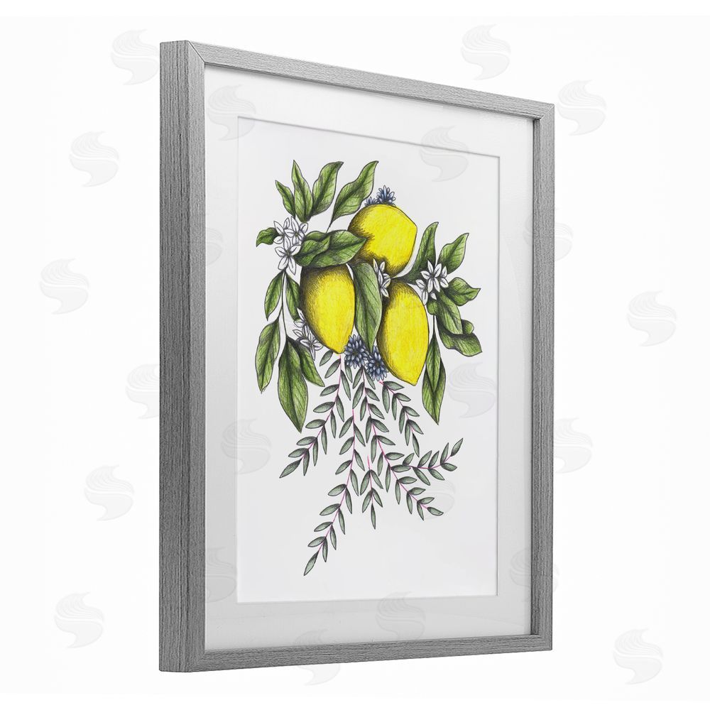 Cecilia Battaini Lemons & Flowers Vintage Sketch Gray Framed Print Under Glass Wall Art