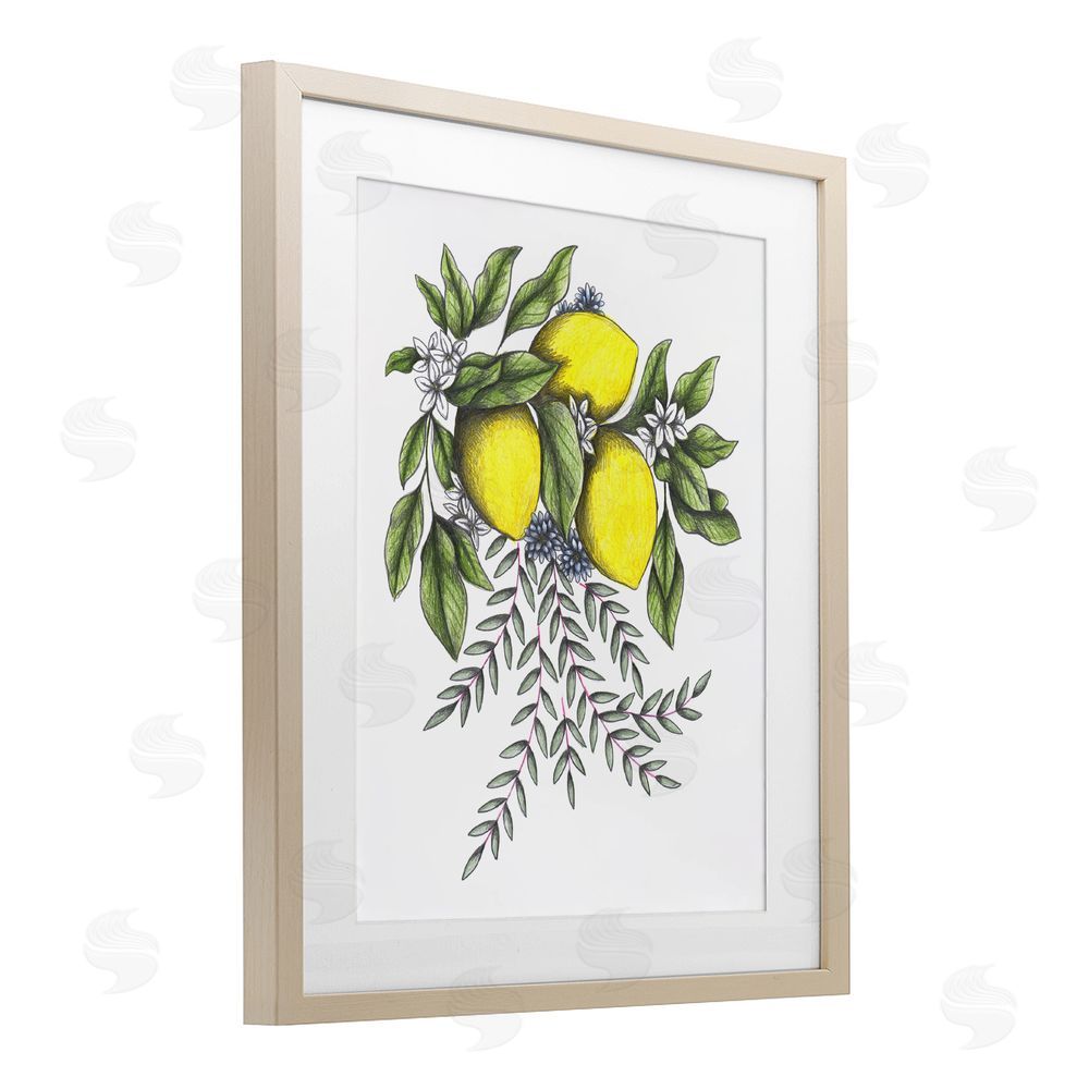 Cecilia Battaini Lemons & Flowers Vintage Sketch Brown Framed Print Under Glass Wall Art