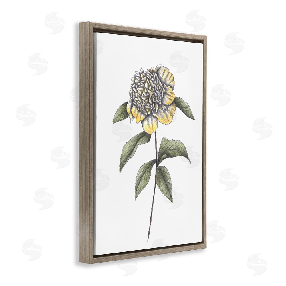 Cecilia Battaini Camellia Flower Illustration Brown Floating Frame Canvas Wall Art Print
