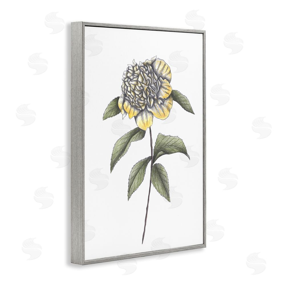 Cecilia Battaini Camellia Flower Illustration Gray Framed Giclee Print Wall Art