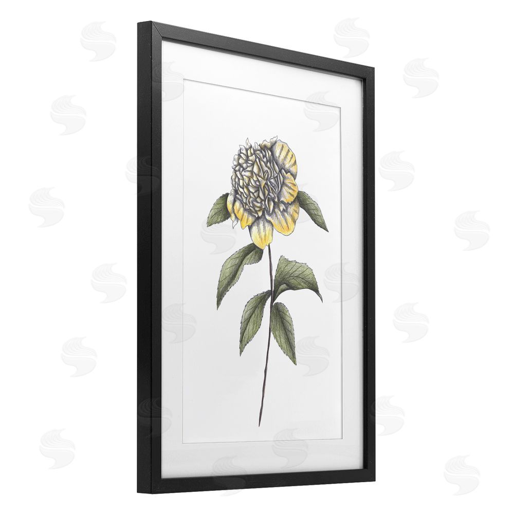 Cecilia Battaini Camellia Flower Illustration Black Framed Print Under Glass Wall Art